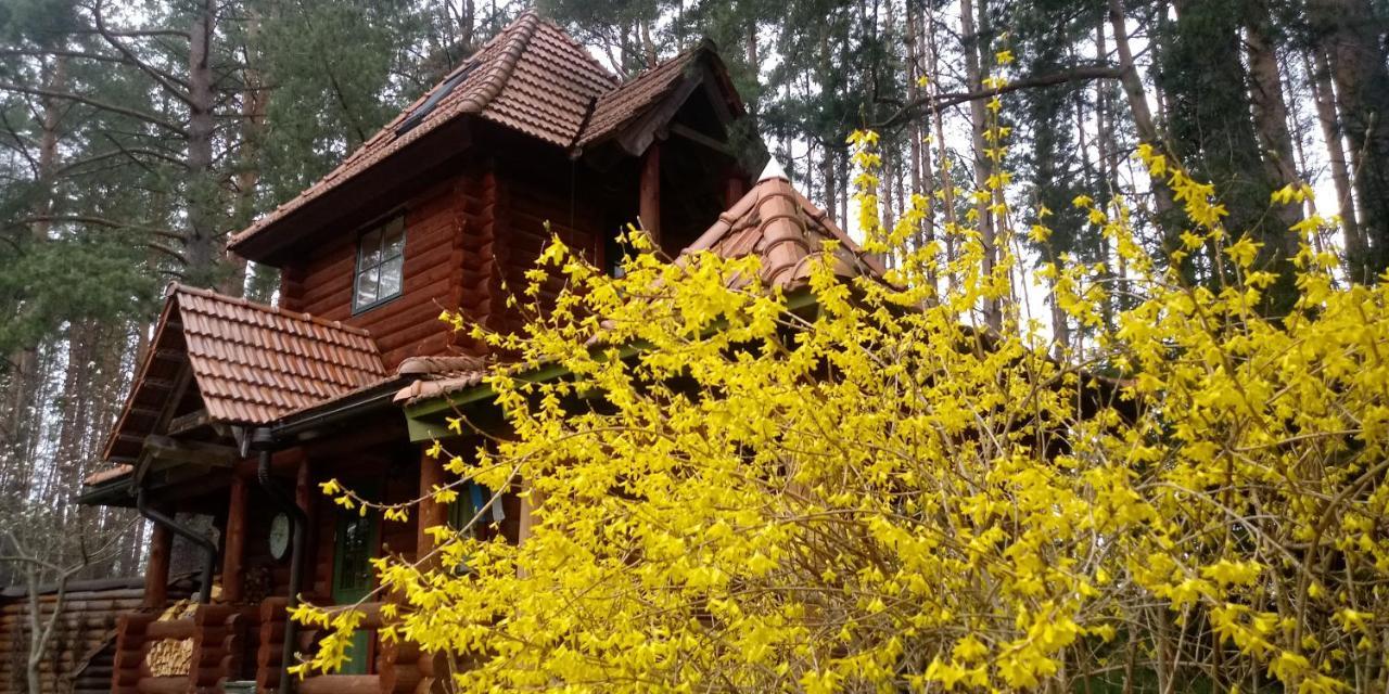 Villa Georgia Aardla Exterior foto